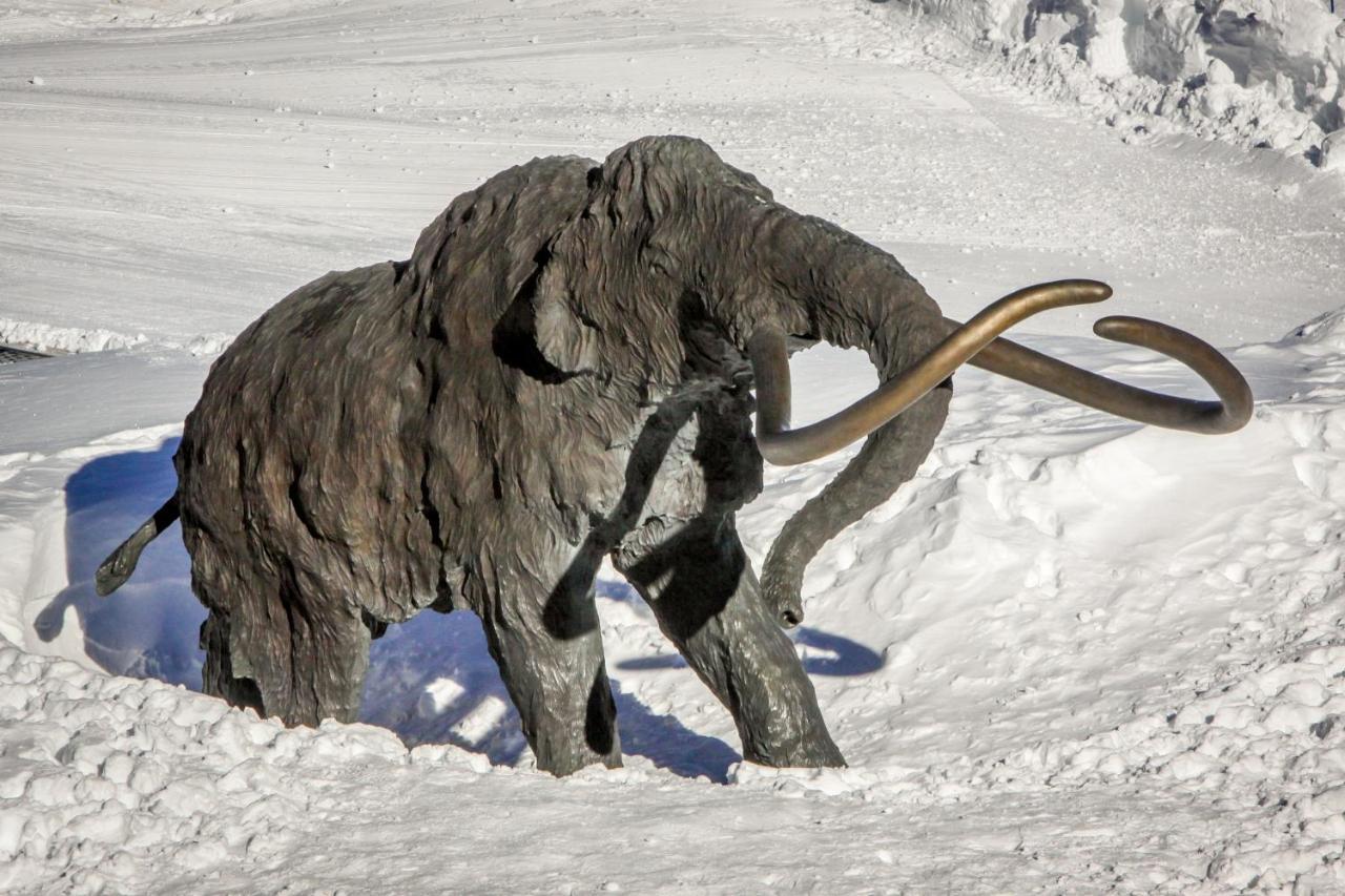 Sierra Megeve Appartement Mammoth Lakes Buitenkant foto